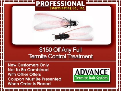 Termite Pest Control Long Island, NY